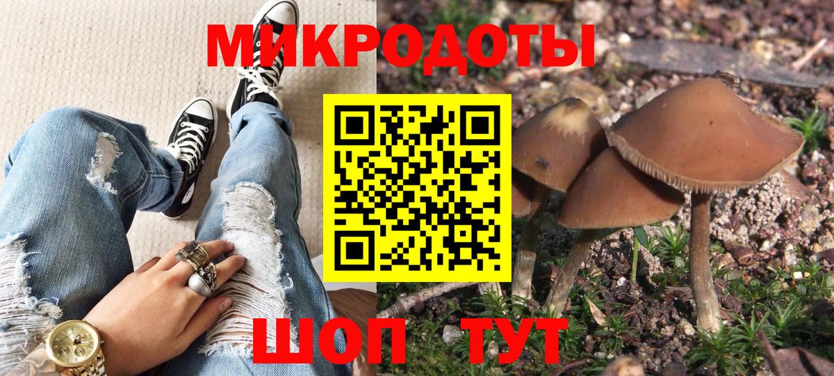 Псилоцибиновые грибы мухоморы Новошахтинск
