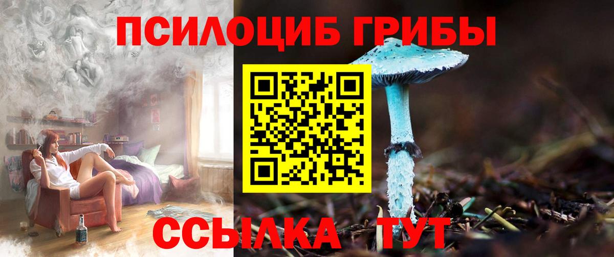Псилоцибиновые грибы мухоморы  Вход с VPN  Новошахтинск 